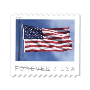 U.S. Flag 2019 | 100pcs