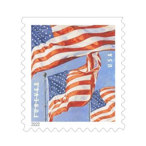 U.S. Flag 2022 | 100pcs