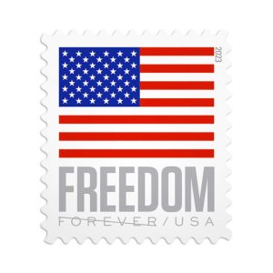 U.S. Flag 2023 | 100pcs