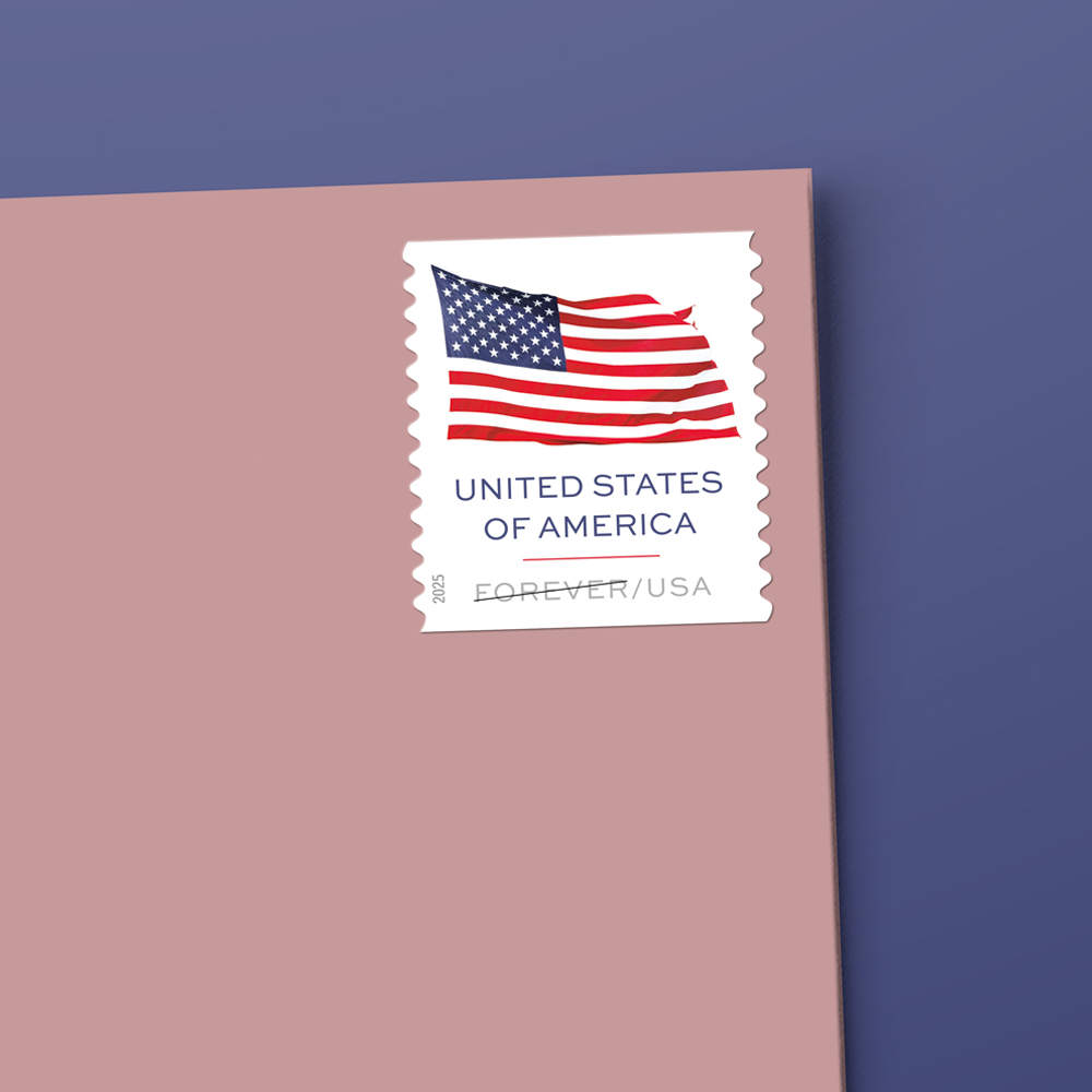 U.S. Flag 2025 | 100pcs - Image 6