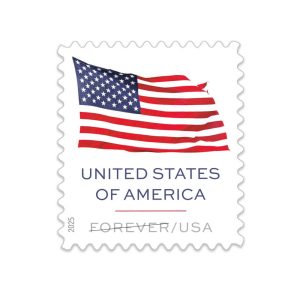 U.S. Flag 2025 | 100pcs