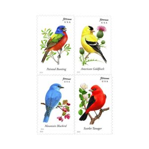 2014 Songbird | 5 booklets of 20